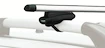 Bagażnik dachowy Thule z SlideBarem Toyota RAV 4 5-dr SUV z relingami dachowymi 05-12