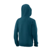 Bluza dziecięca Wilson  Script Cotton Hoody Y Blue Coral