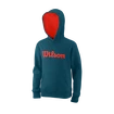 Bluza dziecięca Wilson  Script Cotton Hoody Y Blue Coral