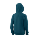 Bluza dziecięca Wilson  Script Cotton Hoody Y Blue Coral