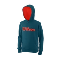 Bluza dziecięca Wilson  Script Cotton Hoody Y Blue Coral