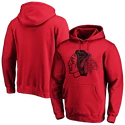 Bluza męska adidas  Mono Core Graphic NHL Chicago Blackhawks SR