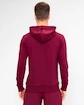 Bluza męska BIDI BADU  Protected Leafs Chill Hoody Bordeaux