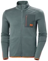 Bluza męska Helly Hansen  Lifa Merino Midlayer