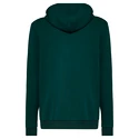 Bluza męska Oakley  The Post Po Hoodie