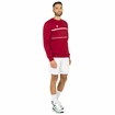 Bluza męska Tecnifibre  Club Sweater Cardinal