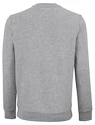 Bluza męska Tecnifibre  Club Sweater Silver