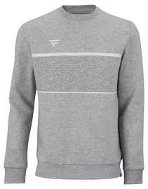 Bluza męska Tecnifibre Club Sweater Silver