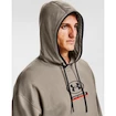 Bluza męska Under Armour