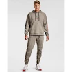 Bluza męska Under Armour