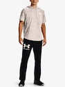 Bluza męska Under Armour  Rival Terry LC SS HD-WHT