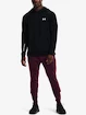 Bluza męska Under Armour  TERRY HOODIE-BLK
