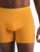 Bokserki męskie Icebreaker  Anatomica Boxers Electric/Praline