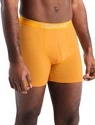 Bokserki męskie Icebreaker  Anatomica Boxers Electric/Praline
