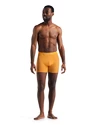 Bokserki męskie Icebreaker  Anatomica Boxers Electric/Praline