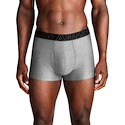 Bokserki męskie Under Armour Perf Tech Solid 3in 3Pack Steel Heather