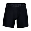 Bokserki męskie Under Armour  Tech 6in 2Pack Black