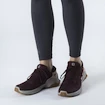 Buty damskie Salomon  X Reveal Gore-Tex