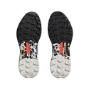 Buty męskie adidas  Terrex SKYCHASER 2