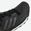 Buty męskie adidas  Terrex Skychaser 2 GTX Black