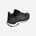 Buty męskie adidas  Terrex Skychaser 2 GTX Black