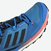 Buty męskie adidas  Terrex Skychaser 2 GTX Blue
