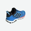 Buty męskie adidas  Terrex Skychaser 2 GTX Blue
