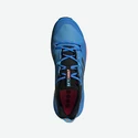 Buty męskie adidas  Terrex Skychaser 2 GTX Blue