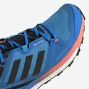 Buty męskie adidas  Terrex Skychaser 2 GTX Blue