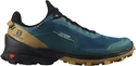 Buty męskie Salomon  Cross Over Gore-Tex