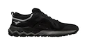 Damskie buty do biegania Mizuno Wave Ibuki 4 Gtx Black/Silver/Quiet Shade