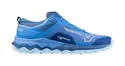 Damskie buty do biegania Mizuno Wave Ibuki 4 Gtx Marina/White/Federal Blue