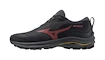 Damskie buty do biegania Mizuno Wave Rider Gtx Ebony/Dubarry/Citrus