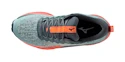 Damskie buty do biegania Mizuno  Wave Rider Tt Lead/Carrot Curl/Nasturtium