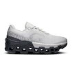 Damskie buty do biegania On Cloudmonster 2 Frost/Rock  EUR 40