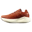 Damskie buty do biegania Salomon Aero Glide 3 GRVL Burnt Ochre/Vanilla Ice/Etherea