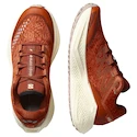 Damskie buty do biegania Salomon Aero Glide 3 GRVL Burnt Ochre/Vanilla Ice/Etherea