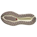 Damskie buty do biegania Salomon Aero Glide 3 GRVL Burnt Ochre/Vanilla Ice/Etherea