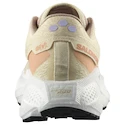 Damskie buty do biegania Salomon Aero Glide 3 GRVL Shortbread/White/Fusion Coral