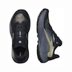 Damskie buty do biegania Salomon Genesis W Carbon/Grisaille/Aloe Wash