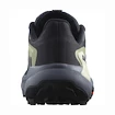 Damskie buty do biegania Salomon GENESIS W Carbon/Grisaille/Aloe Wash