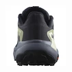 Damskie buty do biegania Salomon Genesis W Carbon/Grisaille/Aloe Wash