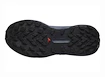 Damskie buty do biegania Salomon Genesis W Carbon/Grisaille/Aloe Wash