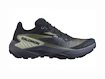 Damskie buty do biegania Salomon Genesis W Carbon/Grisaille/Aloe Wash
