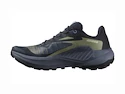 Damskie buty do biegania Salomon Genesis W Carbon/Grisaille/Aloe Wash
