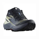 Damskie buty do biegania Salomon Genesis W Carbon/Grisaille/Aloe Wash