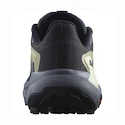 Damskie buty do biegania Salomon Genesis W Carbon/Grisaille/Aloe Wash