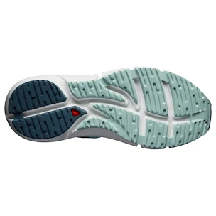 Damskie buty do biegania Salomon Predict 2 Icy Morn  UK 5
