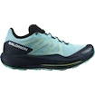 Damskie buty do biegania Salomon Pulsar Trail W  UK 5