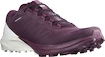 Damskie buty do biegania Salomon Sense 4  PRO W Plum Caspia